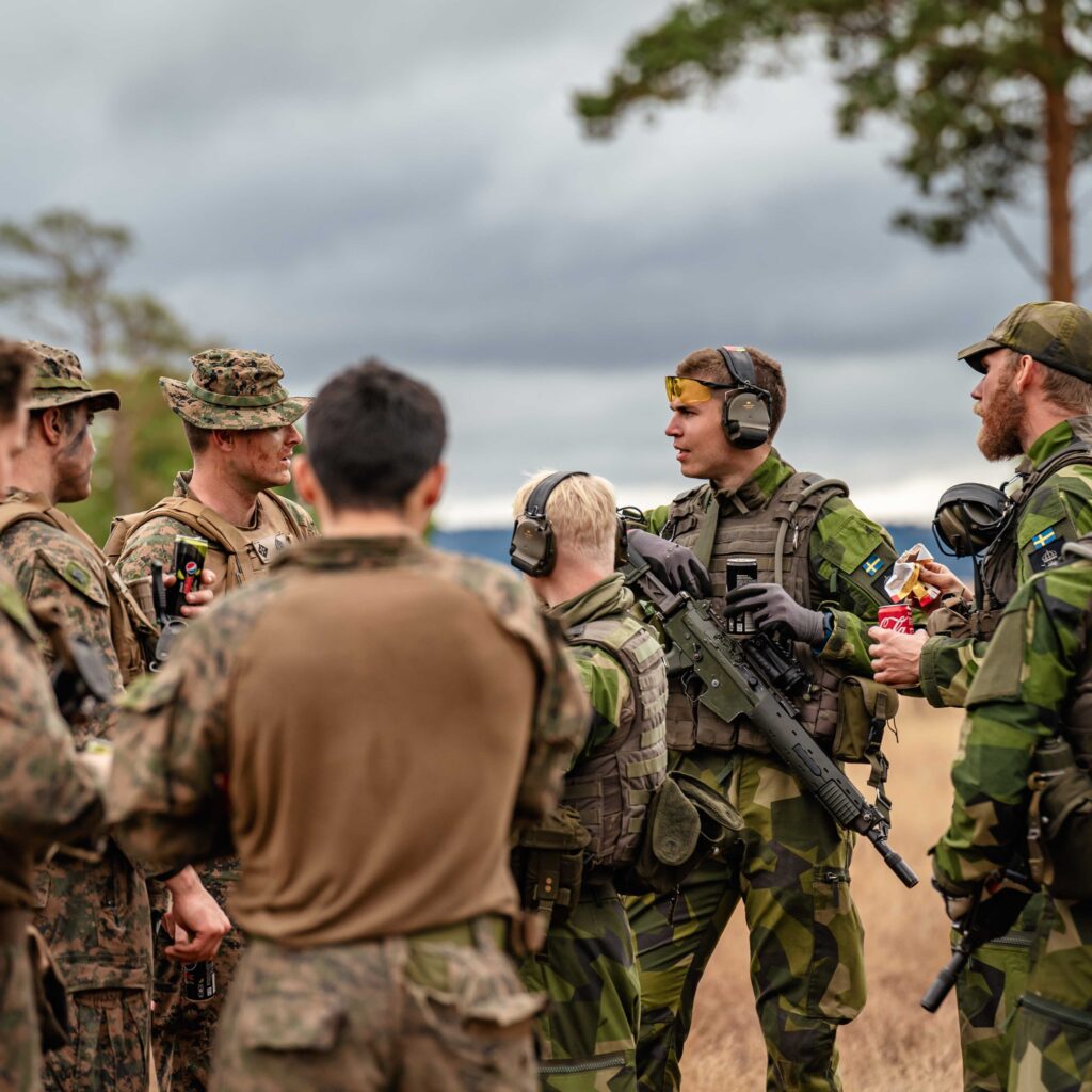 Puffbild: Ny era för svensk försvarspolitik